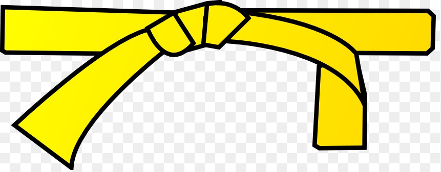 861x337 Karate Belt, Wing, Green, Blue, Yellowpng Image And Vectorpsd