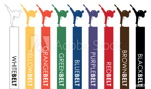 500x293 Karate Belts