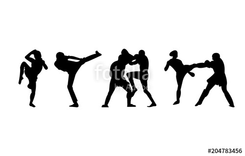 500x318 Kickboxing, Mma And Muay Thai Kicks And Punches Silhouettes Stock