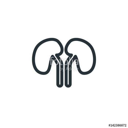 500x500 Kidney Vector Icon Stock Image And Royalty Free Vector Files On