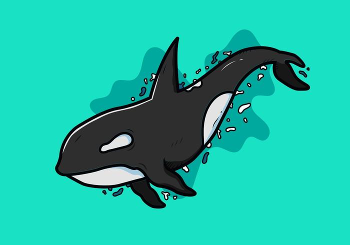 700x490 Killer Whales Vector