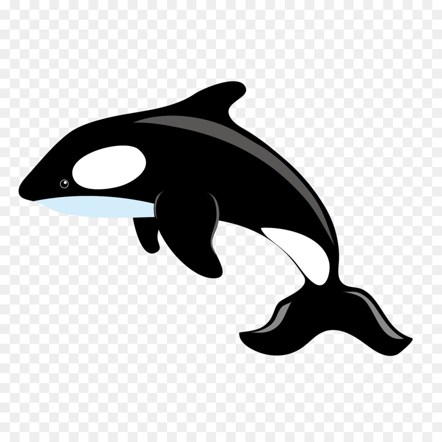 900x900 Killer Whale Blue Whale Clip Art