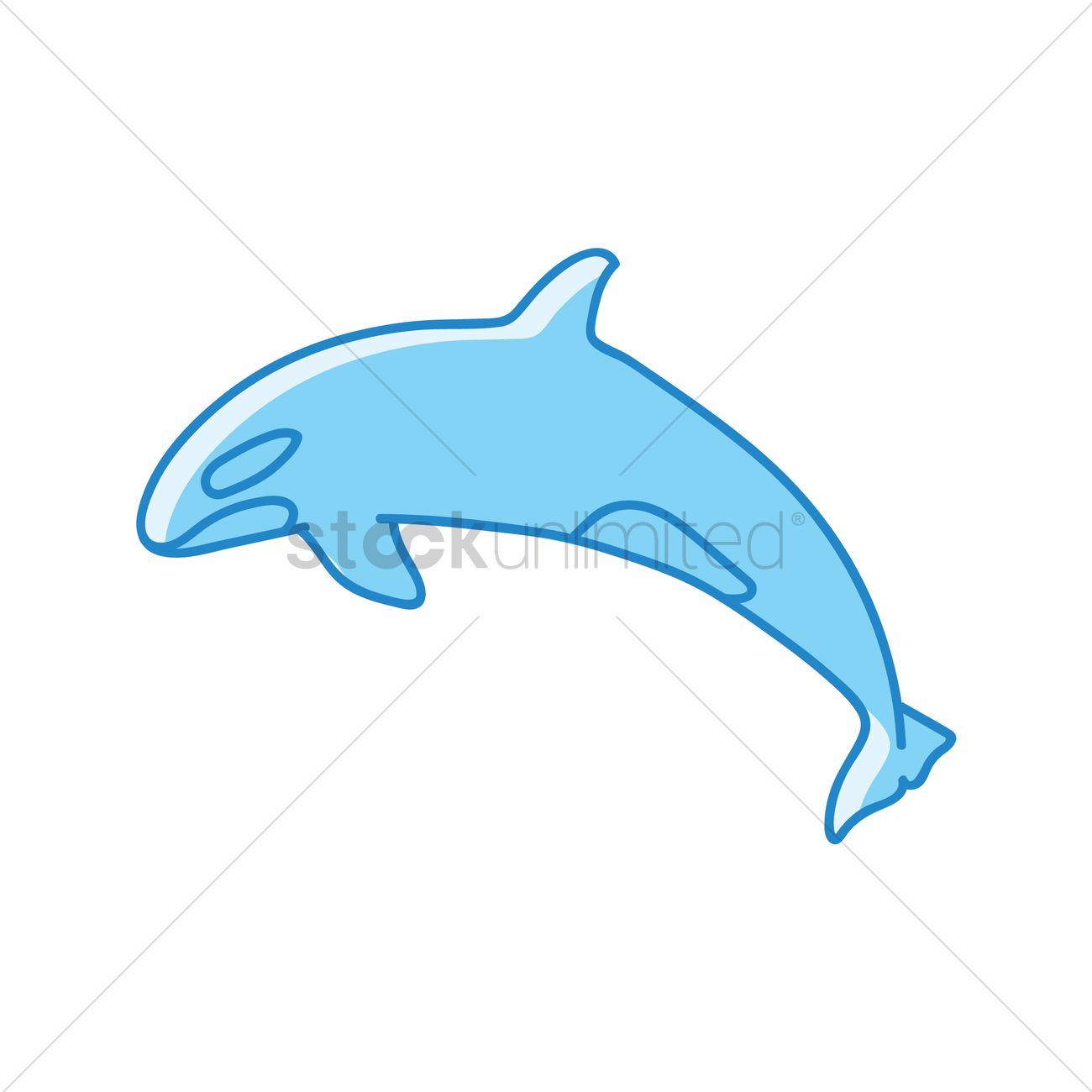 1300x1300 Killer Whale Vector Image