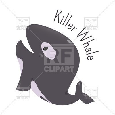 400x400 Killer Whale Vector Image Vector Artwork Of Plants And Animals
