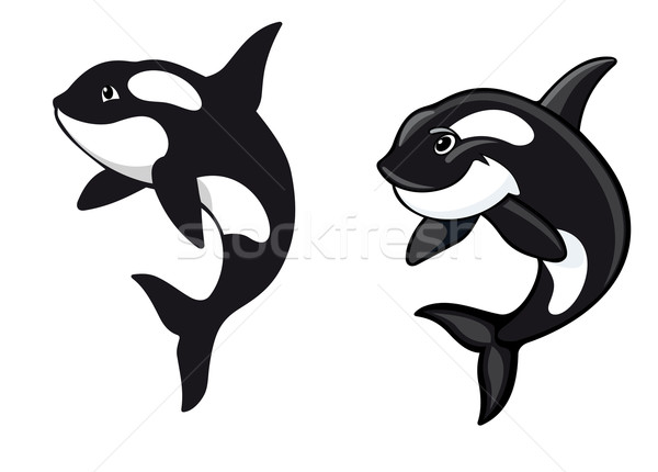 600x430 Killer Whales Vector Illustration Anzhela Buch (Anbuch
