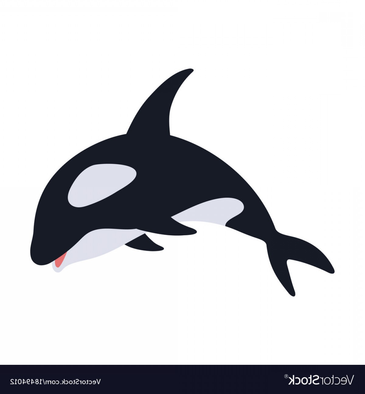 1200x1296 Flat Icon On Theme Save Whales Killer Whale Vector Sohadacouri