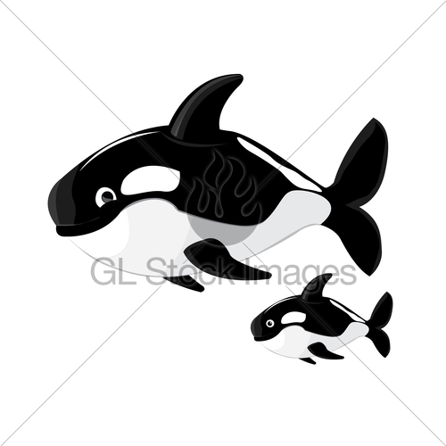 500x500 Killer Whale Cartoon Vector Gl Stock Images