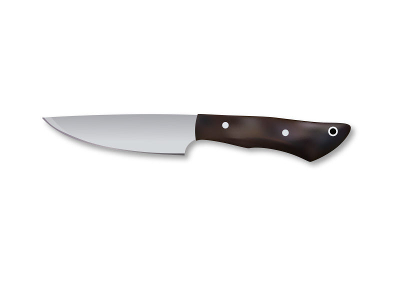 800x566 Realistic Kitchen Knife Vector