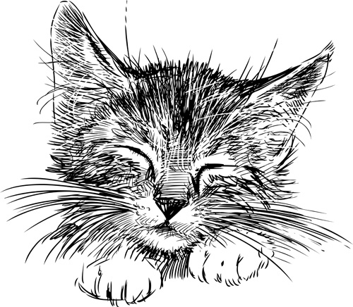 500x436 Hand Drawing Black Kittens Vector Free Vector In Adobe Illustrator