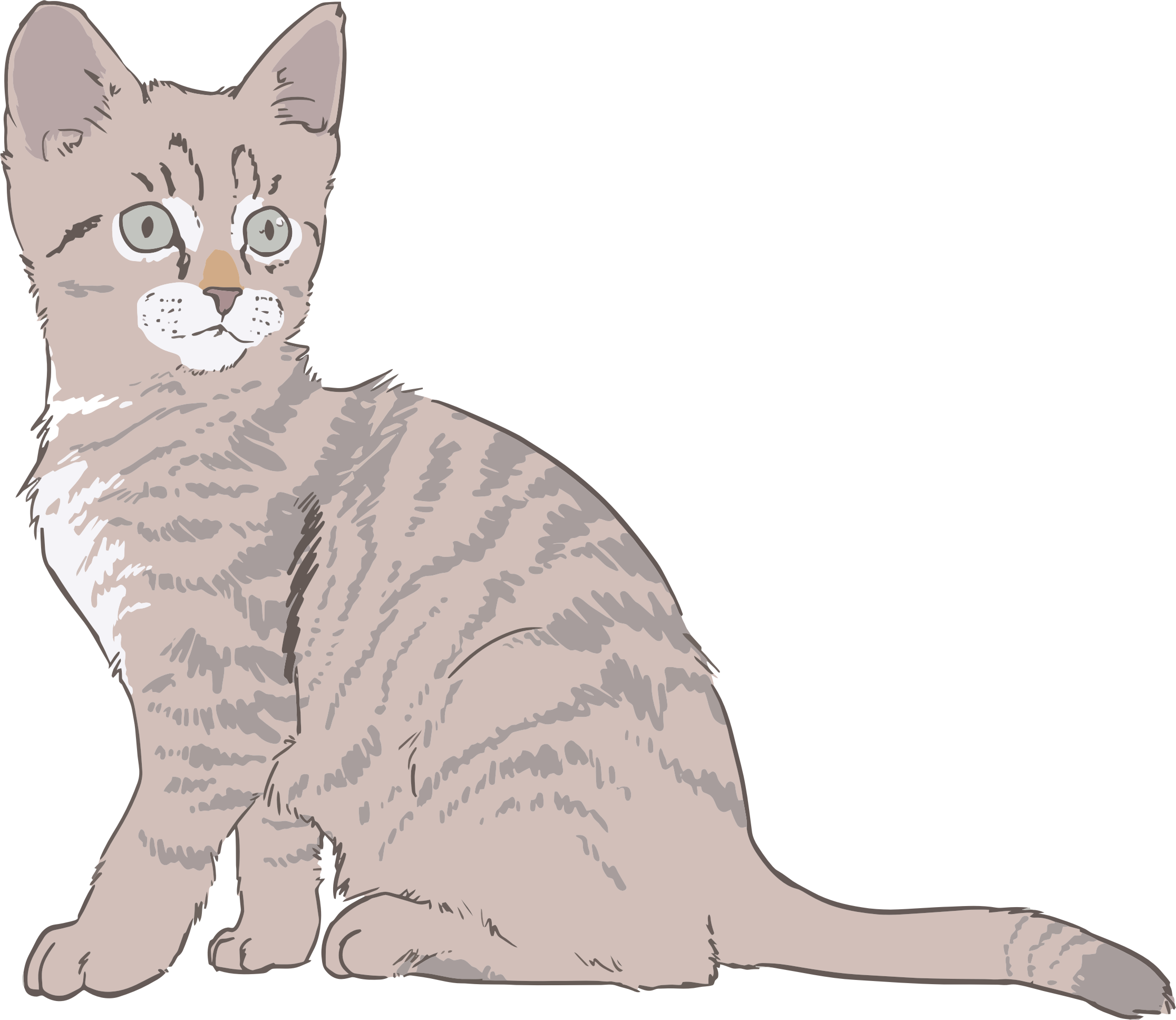 2231x1934 Kitten Vector Clipart Image