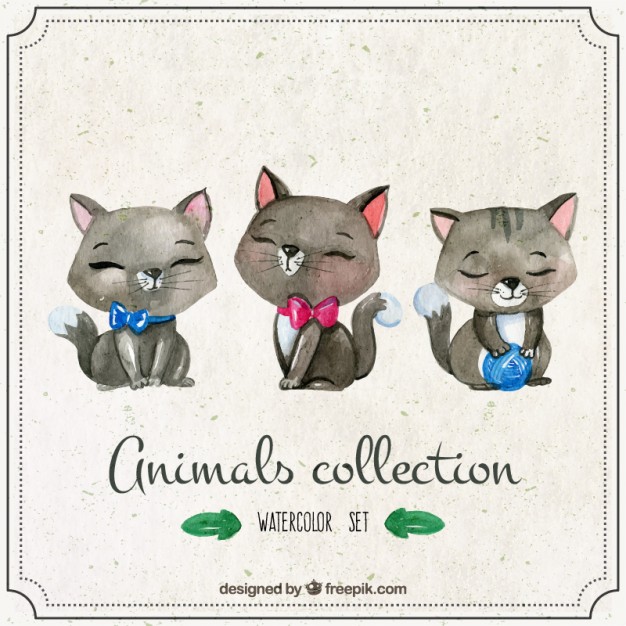 626x626 Kitten Vectors, Photos And Psd Files Free Download