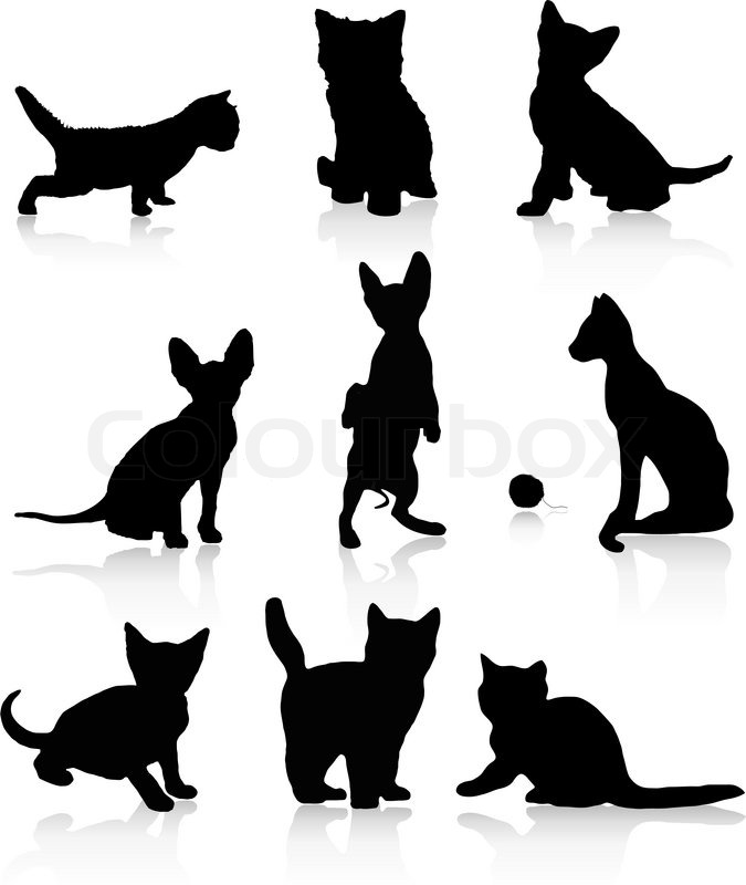 675x800 Kittens And Cats Vector Illustration Isolated Over White Stock