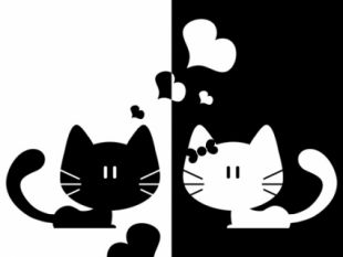 310x233 Lie Down Cute Kitten Vector Free Vectors Ui Download