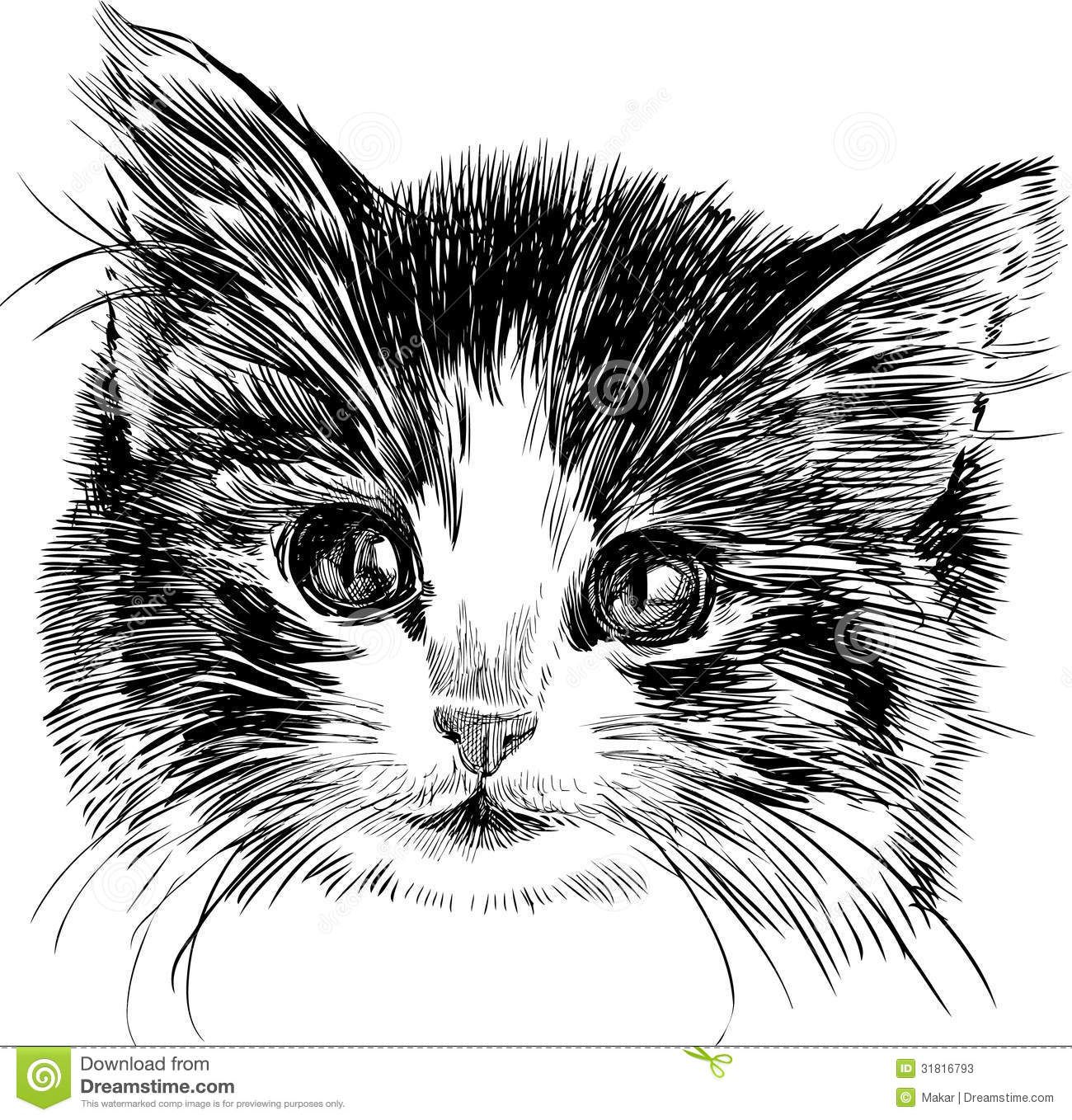 1300x1358 Kitten Vector