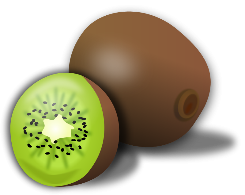 800x636 Kiwi Free Vector 4vector