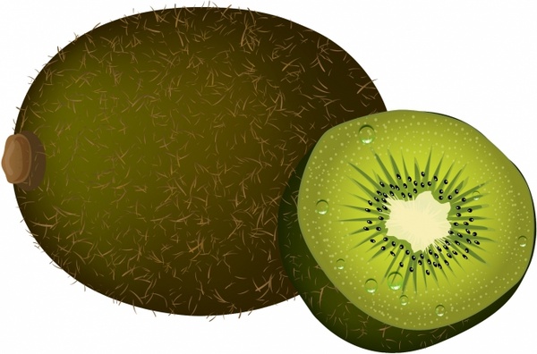 600x396 Kiwi Free Vector In Adobe Illustrator Ai ( .ai ), Encapsulated