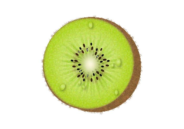 700x490 Kiwi Fruit Free Vector Art