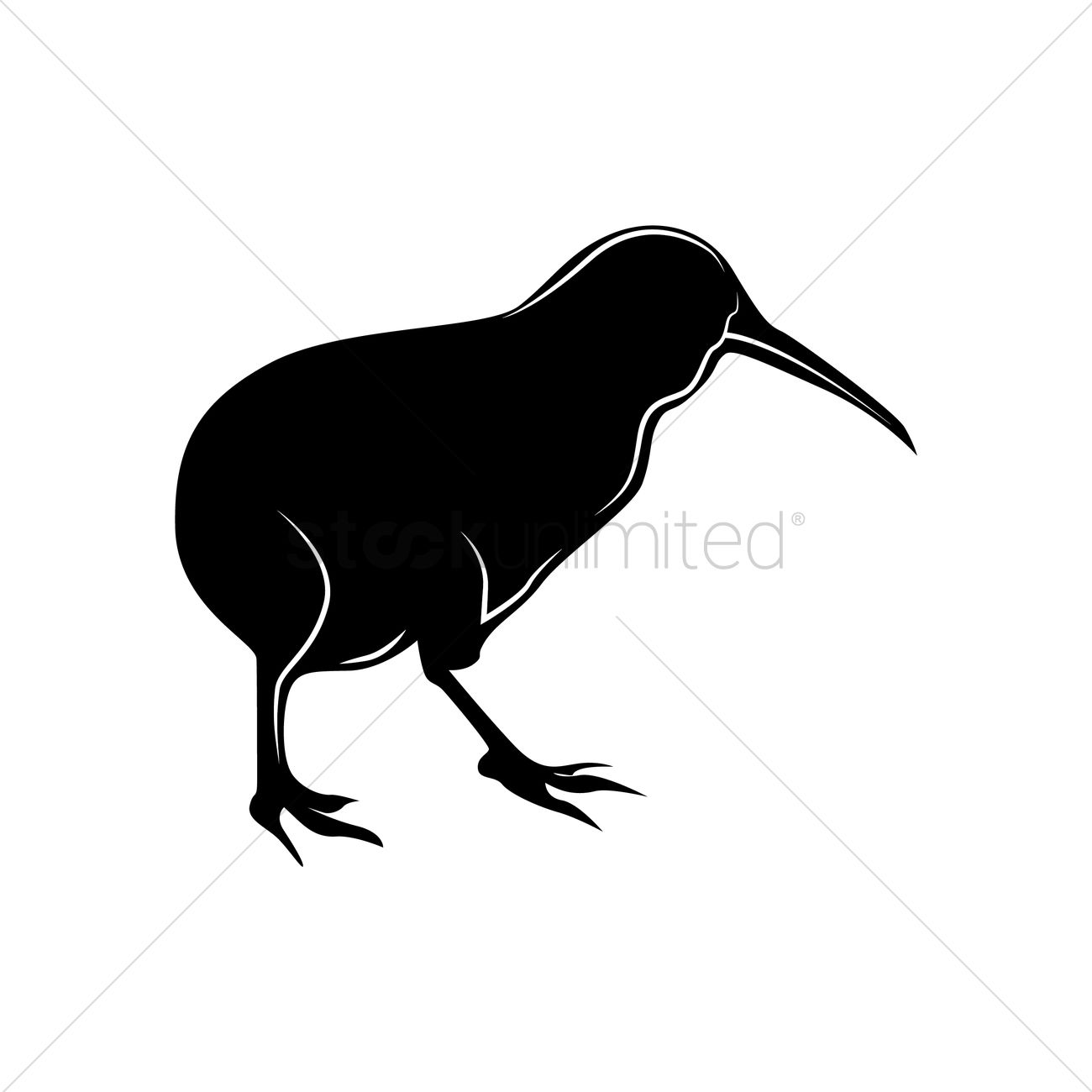 1300x1300 Kiwi Vector Image