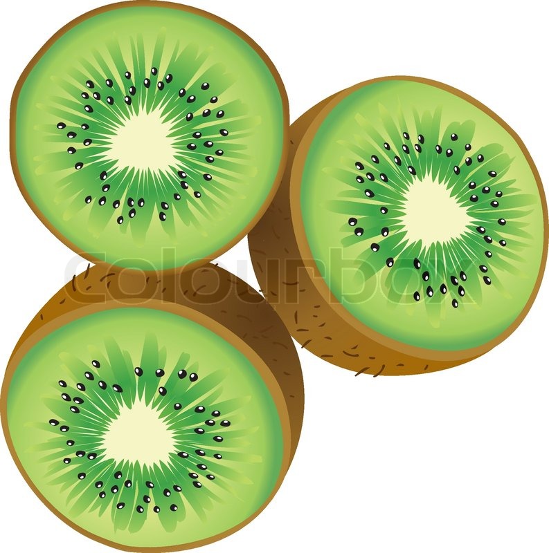 793x800 Vector Illustration