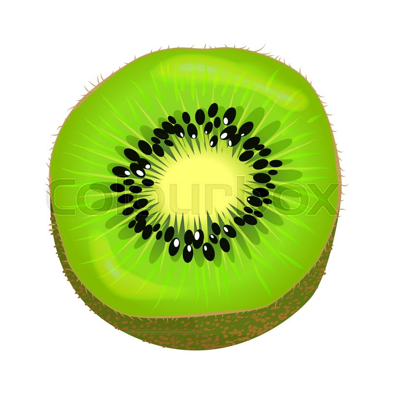 800x800 Fresh Kiwi Fruit Half Isolated On White. Vector Illustration Of