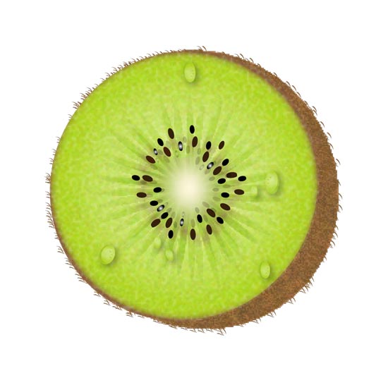 550x536 Half Kiwi Fruit Vector