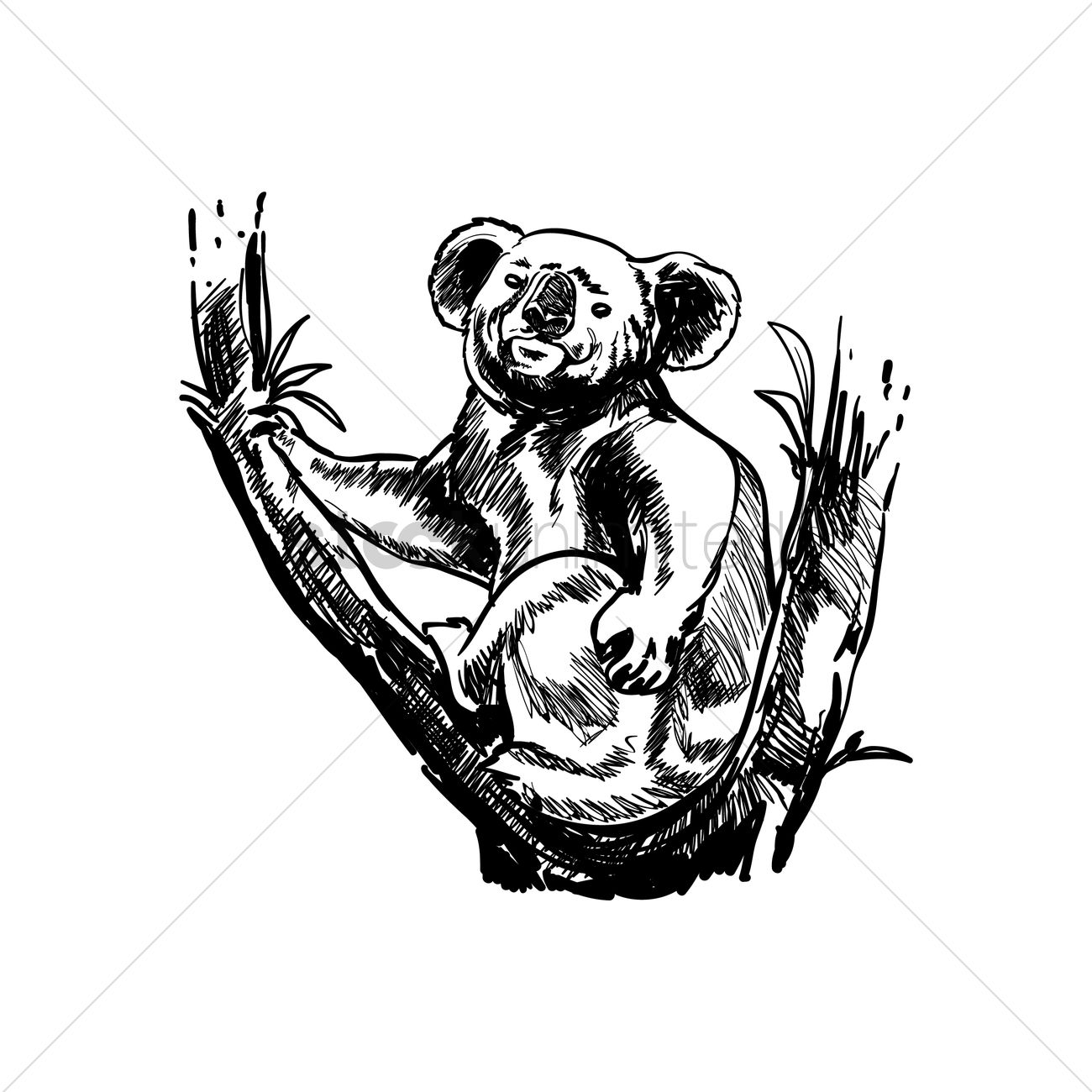 1300x1300 Koala Vector Image