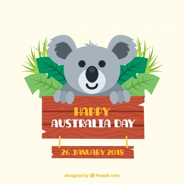 626x626 Koala Vectors, Photos And Psd Files Free Download