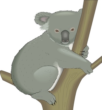 340x368 Koala Vector Free Vector Download (36 Free Vector) For Commercial