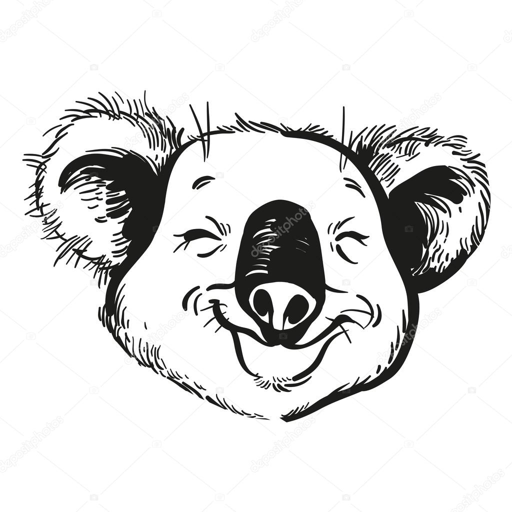 1024x1024 Drawn Koala Vector