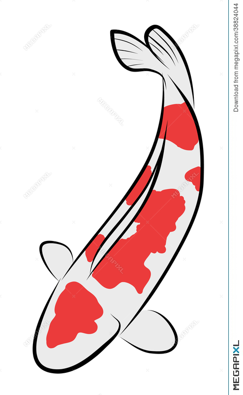 494x800 Koi Fish Vector Illustration 38824044