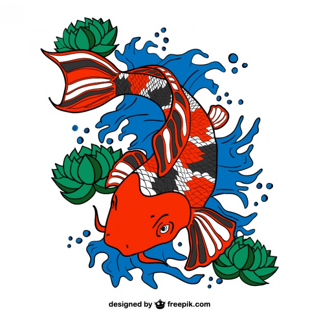 626x626 Koi Vectors, Photos And Psd Files Free Download