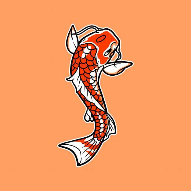 626x626 Koi Fish Vector Illustration Vector Premium Download