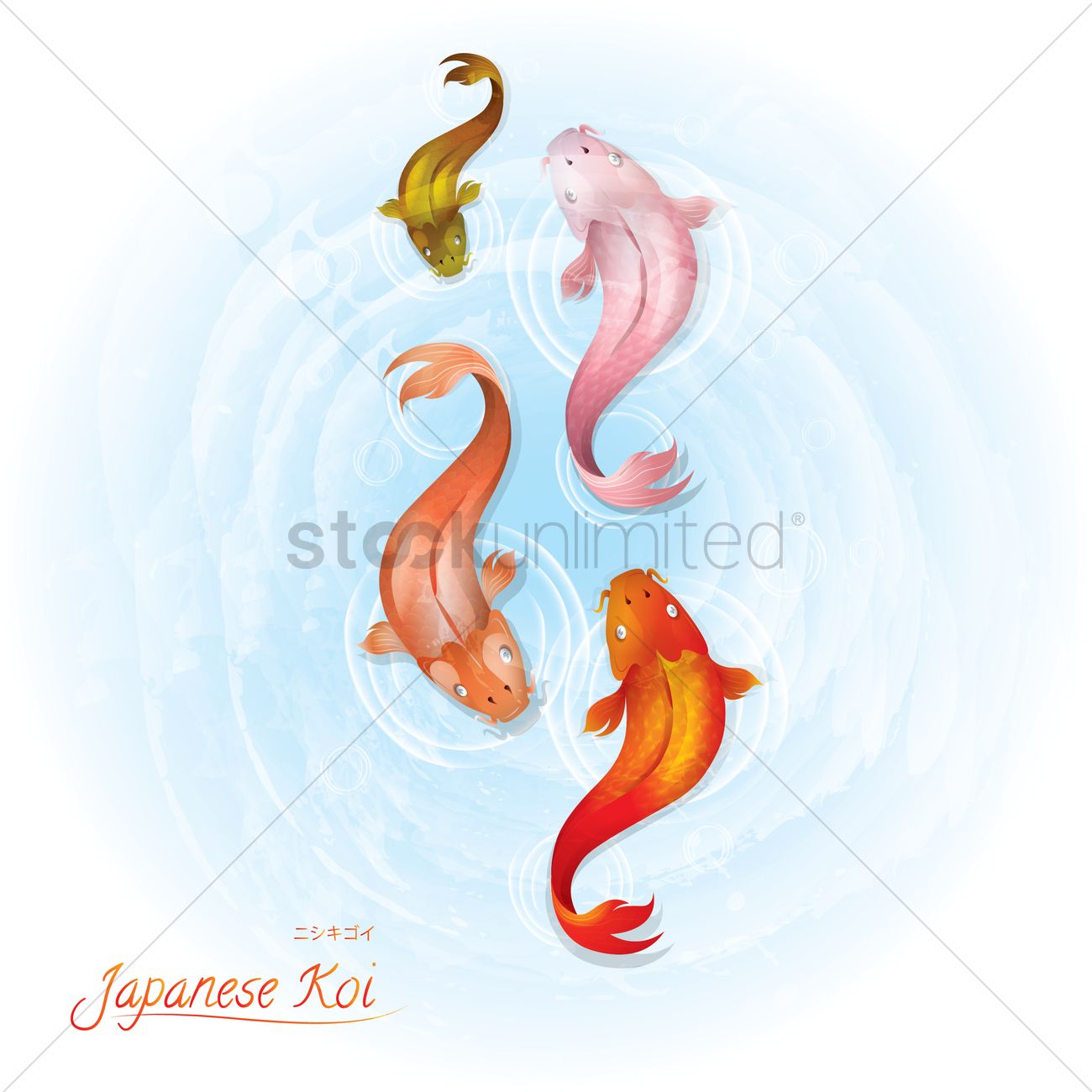 1300x1300 Japanese Koi Vector Image