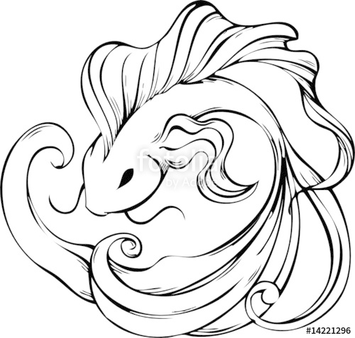 500x477 Koi Fish Tattoo Stock Image And Royalty Free Vector Files On