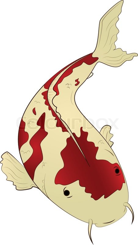 452x800 Single Red Spotted Carp Koi Stock Vector Colourbox