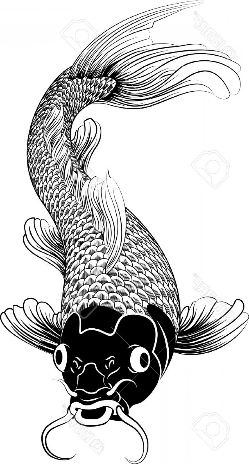 837x1560 Black And White Koi Vector Createmepink