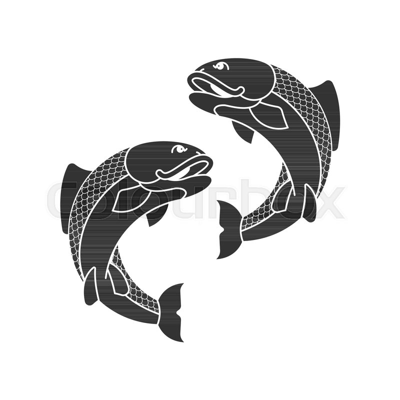 800x800 Carp Japan Fish Isolated. Folk Asian Koi Vector Illustration