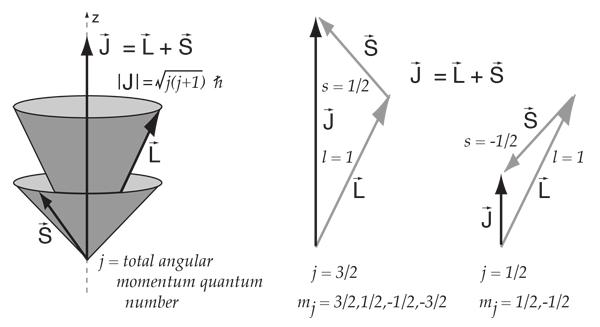 600x327 Vector Model Of Angular Momentum