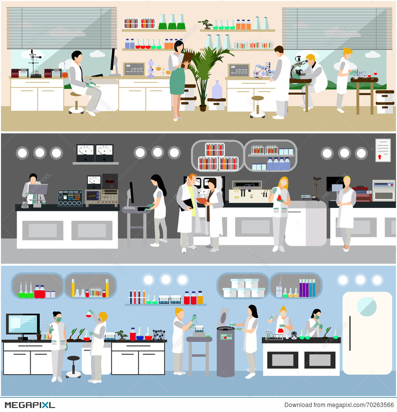 800x830 Scientist Working In Laboratory Vector Illustration. Science Lab