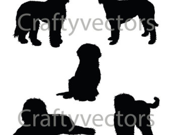 340x270 Labradoodle Black And White Clipart Silhouette