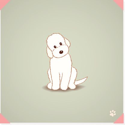 416x416 Labradoodle Dog Vector Art Illustration Puppies