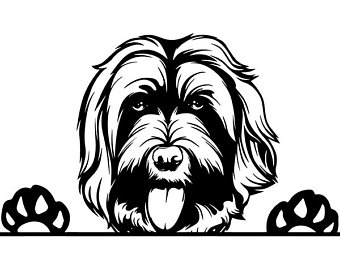 340x270 Labradoodle Svg Etsy