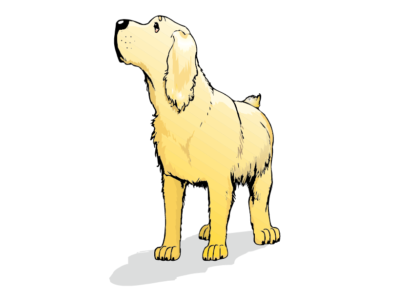 842x596 Collection Of Free Dog Vector Golden Doodle. Download On Ubisafe