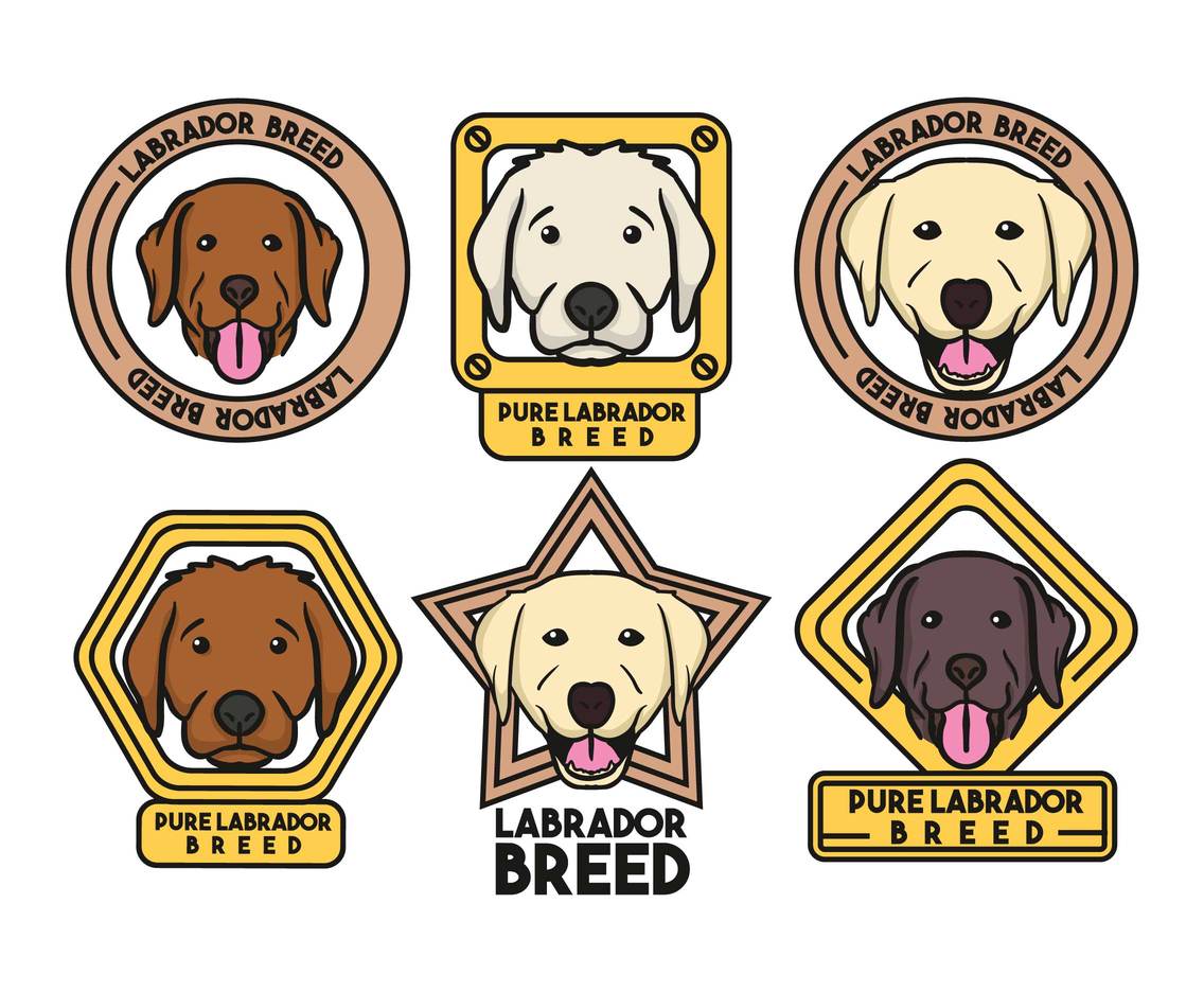 1136x936 Labrador Vector Set Vector Art Amp Graphics