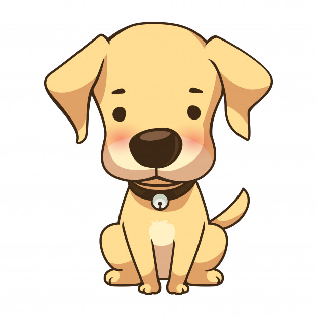 626x626 Tiny Labrador Vector Premium Download