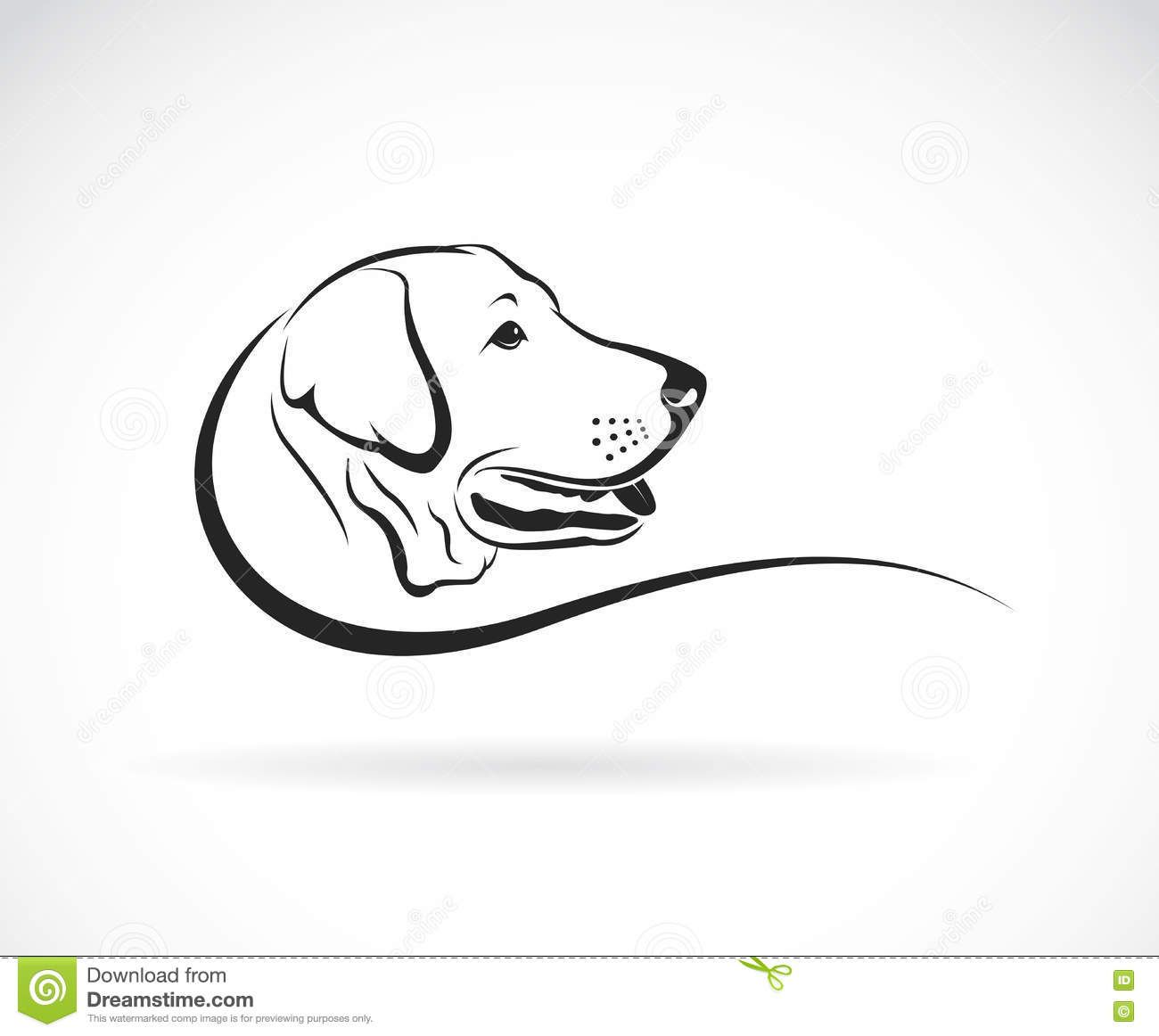 1300x1162 Vector Image Of An Dog Labrador Head