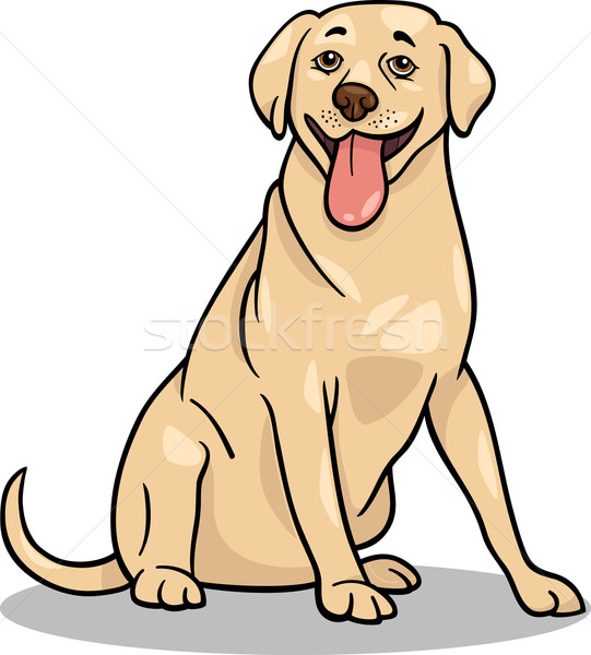 541x600 Labrador Retriever Dog Cartoon Illustration Vector Illustration