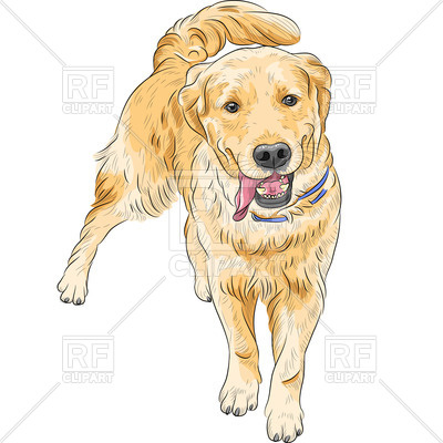 400x400 Dog Of Labrador Retriever Breed Vector Image Vector Artwork Of