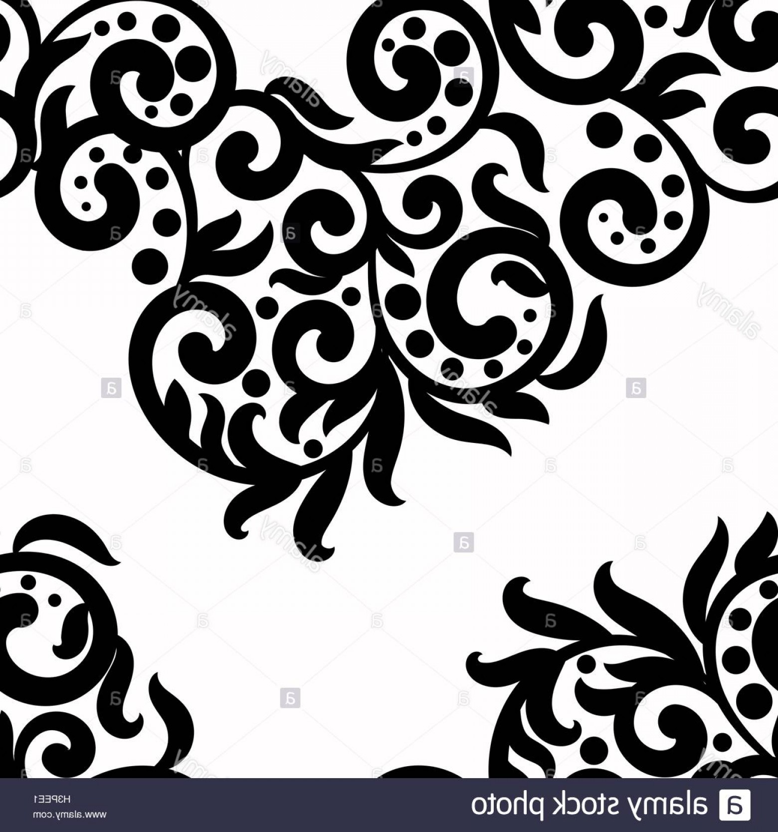 1560x1668 Stock Photo Black And White Background Vector Lace Texture