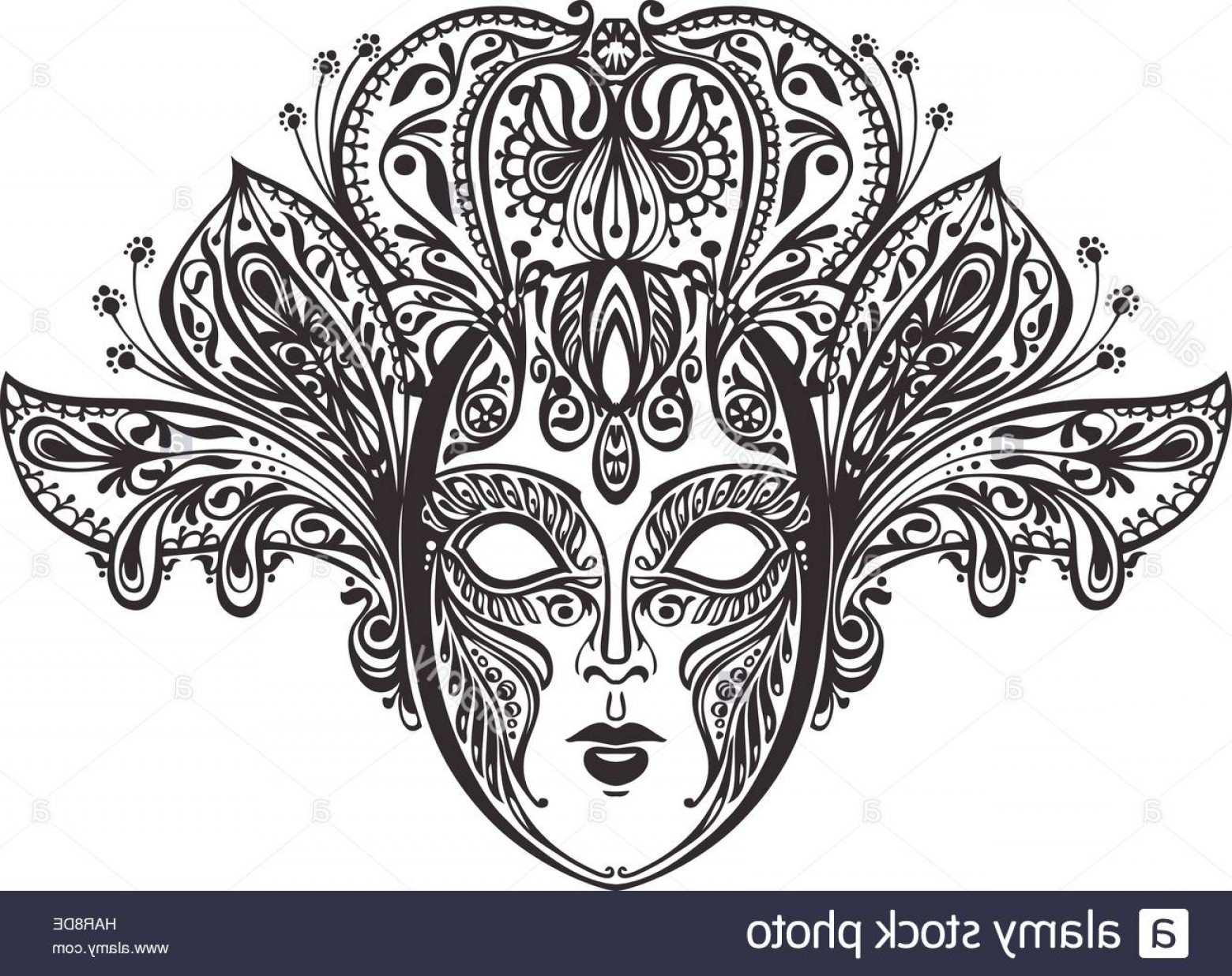 1560x1237 Lace Vector Art Sohadacouri